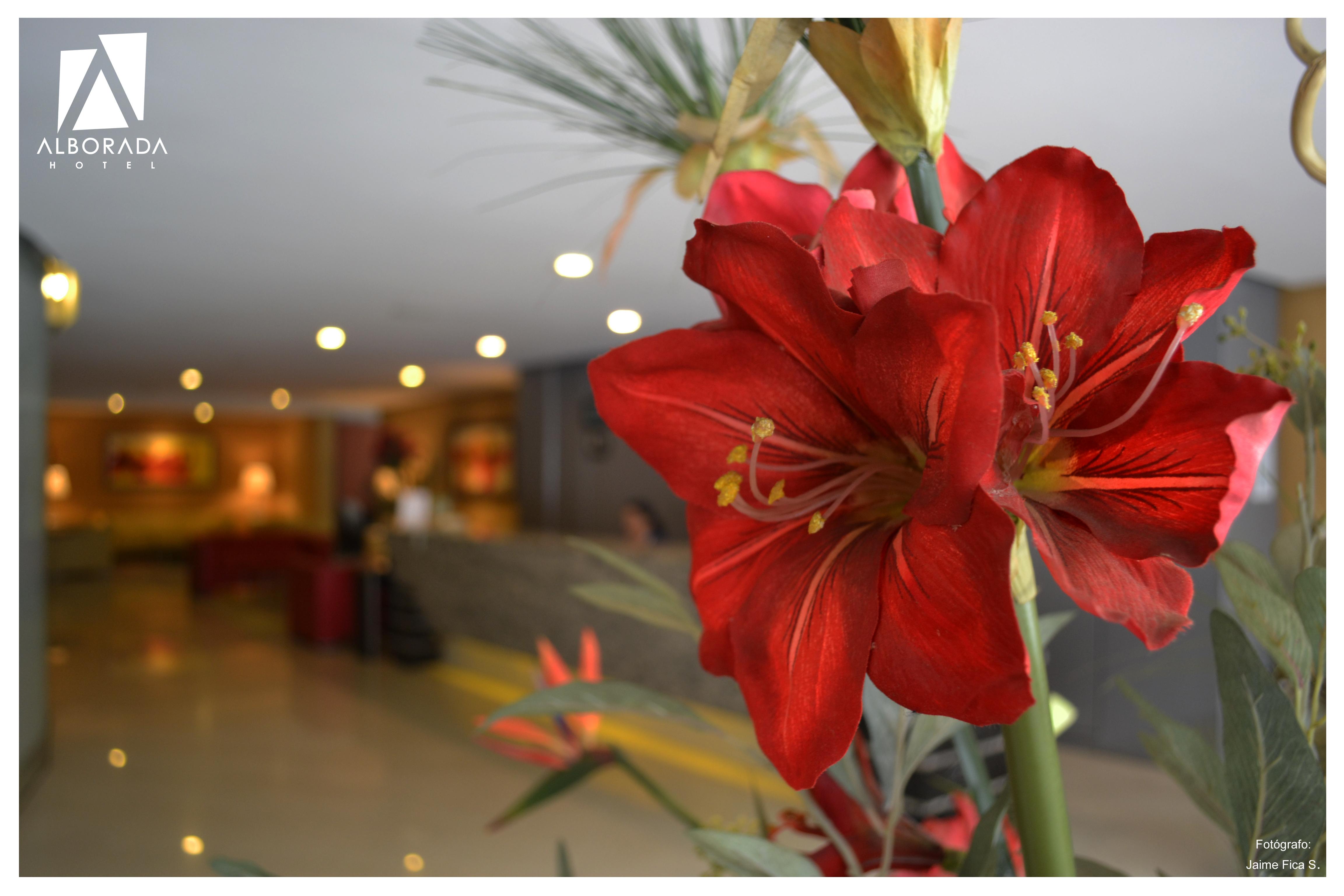 Hotel Alborada Concepción Екстериор снимка